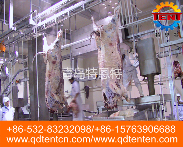 Cattle carcass automatic processing line(station stepper)